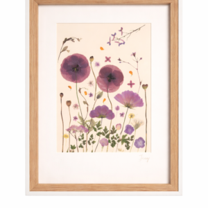 Poppies in the Summer Breeze