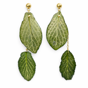 Real Fittonia Leaf Resin Drop Earrings